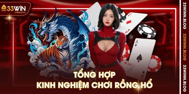 Tổng hợp kinh nghiệm chơi rồng hổ